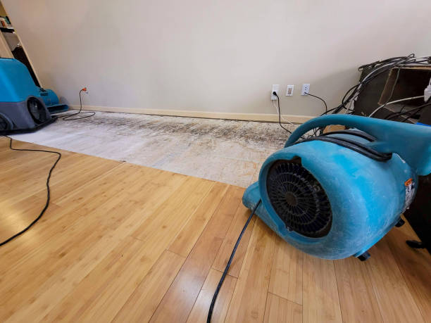 Professional Basement Flood Cleanup technician working in University, MS